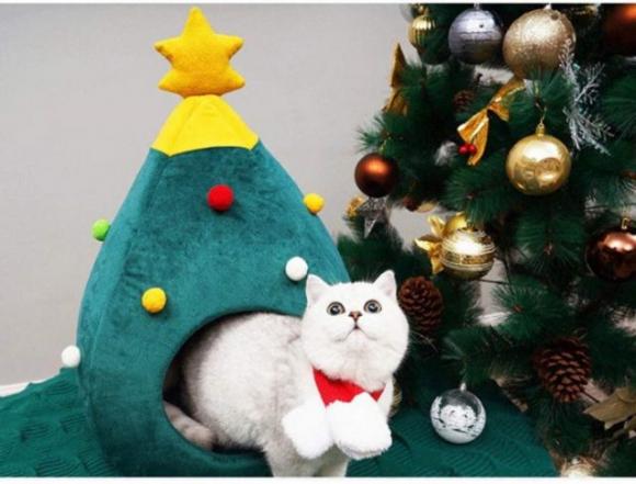La cuccia per gatti ad albero di Natale è il regalo perfetto per i vostri animaletti
