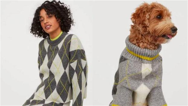 L’ultima tendenza lanciata da H&M è una linea di maglioni per proprietari e cani