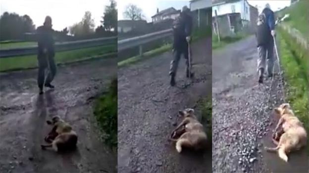 Spagna: cacciatore picchia e spara al suo cane, poi lo trascina per strada