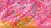 1577283358_5e036f1e5745f