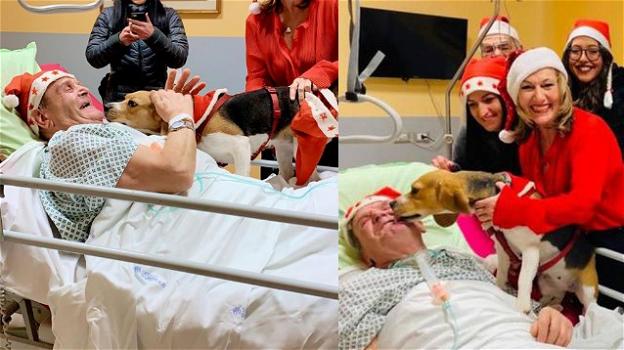 Imola, cane in ospedale saluta l’amico ricoverato: il paziente migliora dopo la visita ricevuta