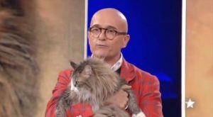 Alfonso Signorini rivela 5 nomi shock che hanno sostenuto il provino del GF VIP
