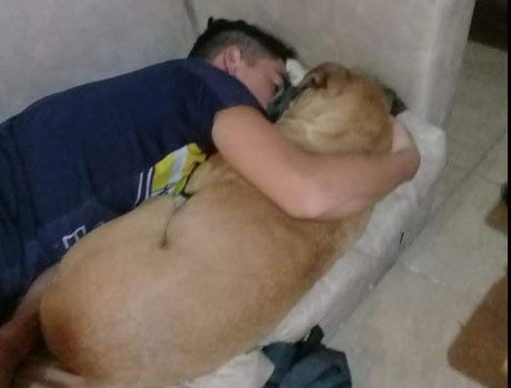 Cagnolona muore a causa dei fuochi d’artificio: l’addio straziante del suo amico umano