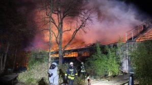 Germania: incendio allo zoo fa strage di animali