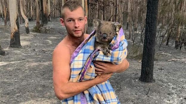 Patrick Boyle, il cacciatore australiano di 22 anni che salva i koala dagli incendi