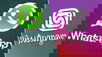 1579177423_5e2055ce7a1b7