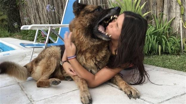 Argentina, selfie finisce in tragedia: cane azzanna una ragazza