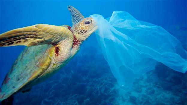 Greenpeace, un cortometraggio per salvare le tartarughe