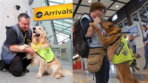 Pet therapy in aeroporto per chi ha paura di volare