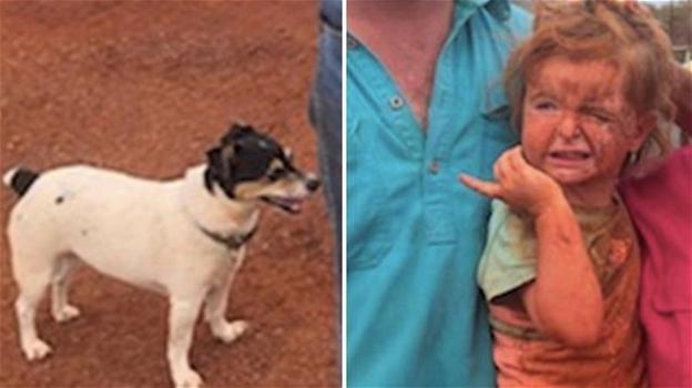 Australia, bimba di 3 anni scomparsa viene ritrovata con il suo cagnolino