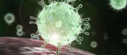 Coronavirus, tutte le ultime novità: sale il numero delle vittime, in Italia annullate le festività