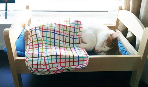 IKEA dona lettini per bambole ai gatti di un rifugio, e sono adorabili