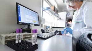 Coronavirus: dal pipistrello all’uomo, lo affermano dei ricercatori italiani