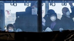 Psicosi Coronavirus. Sindaca di Torino a pranzo in un ristorante cinese per sfatare ogni paura