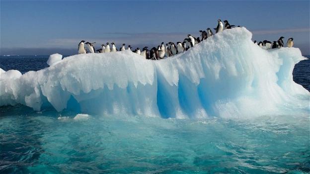 Cambiamenti climatici: in Antartide temperature sempre più calde