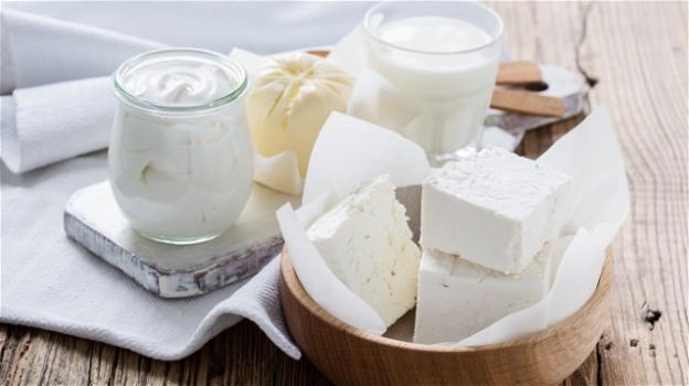 Il latte ed i latticini sono amici o nemici della salute? La parola agli esperti