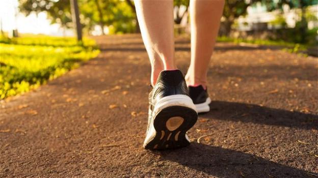 Camminare apporta notevoli benefici alla salute del cervello