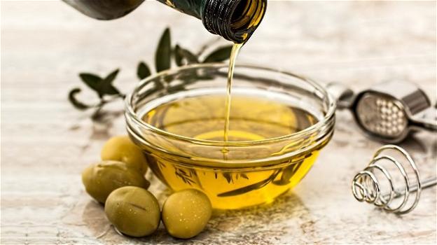 L’olio di oliva ritarda il processo di invecchiamento del cervello