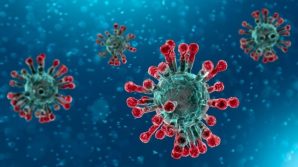 Coronavirus, i tempi per sviluppare il vaccino