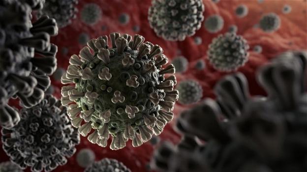 Il Coronavirus potrebbe indebolirsi con l’aumento delle temperature
