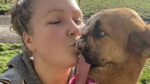 Cane vittima di armi ad aria compressa torna a respirare e mangiare autonomamente