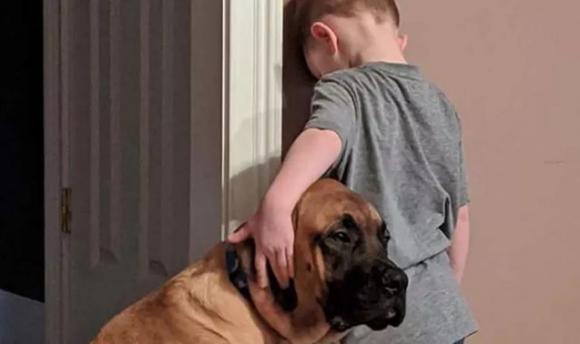 L’amicizia vera: un bimbo è in punizione e il suo cane gli va a fare compagnia