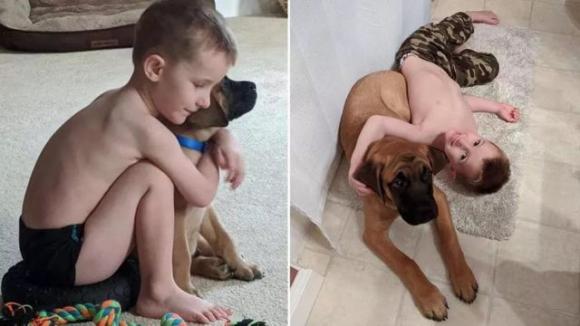 L’amicizia vera: un bimbo è in punizione e il suo cane gli va a fare compagnia