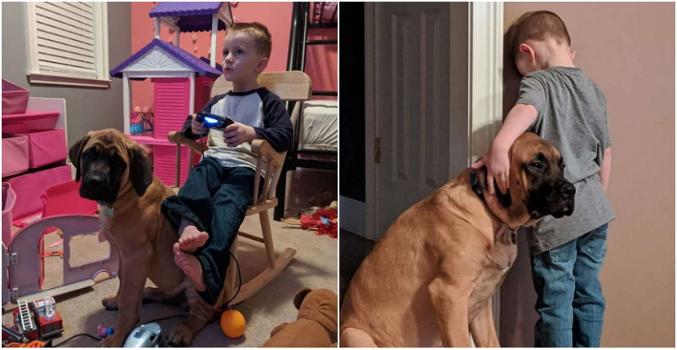 L’amicizia vera: un bimbo è in punizione e il suo cane gli va a fare compagnia