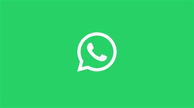 WhatsApp: seconda a Febbraio, dark mode for Business, stickers colorati Holi