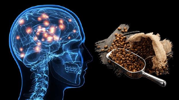 Scoperti gli effetti della caffeina sulle funzioni cognitive