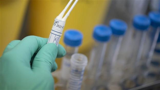 Olanda: sperimentato il farmaco per neutralizzare il Coronavirus, ora bisogna testarlo