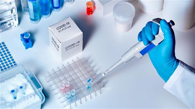 Covid-19, Ascierto: la sperimentazione del farmaco Tocilizumab sta funzionando