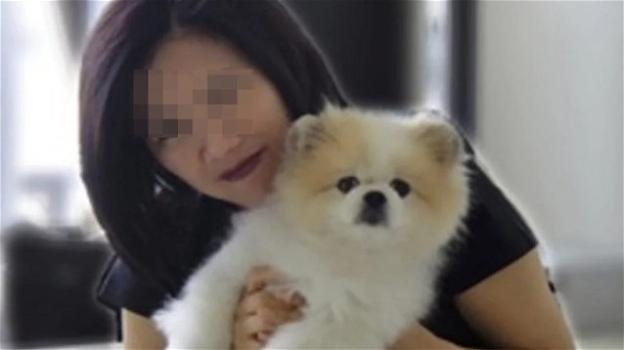 Hong Kong, morto il primo cane affetto da Coronavirus