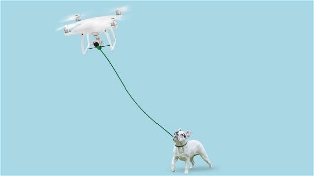 In tempi di coronavirus, un drone farà passeggiare il vostro cane