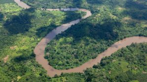 La foresta pluviale africana strappa all’Amazzonia il titolo di polmone verde del mondo