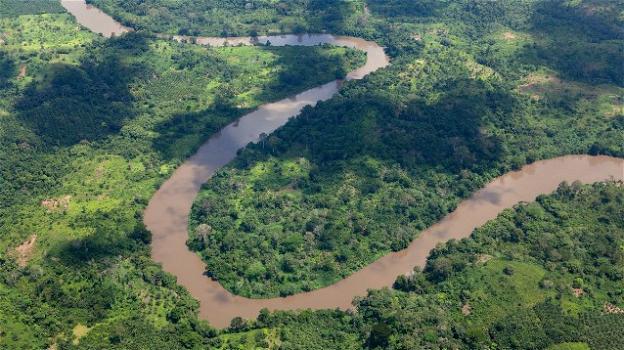 La foresta pluviale africana strappa all’Amazzonia il titolo di polmone verde del mondo