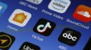 Non utilizzare il social network cinese TikTok se non sei un/una modello/a oppure povero