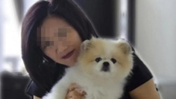 Coronavirus, confermato il primo caso di cane contagiato: le sue condizioni