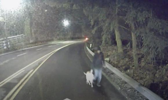 Bergamo: esce a fare una passeggiata con il cane, fermato a 30km da casa