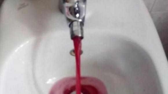 Miracolo a Modena: sgorga Lambrusco dai rubinetti