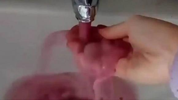 Miracolo a Modena: sgorga Lambrusco dai rubinetti