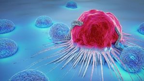 Scoperta la molecola che induce le cellule tumorali ad autodistruggersi