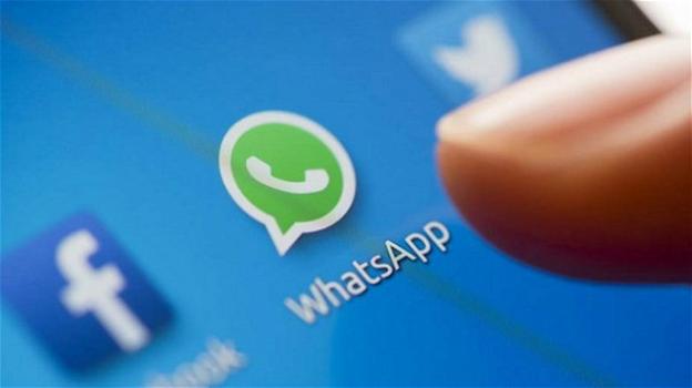 WhatsApp beta: avviso crittografia chiamate, più partecipanti nelle group call