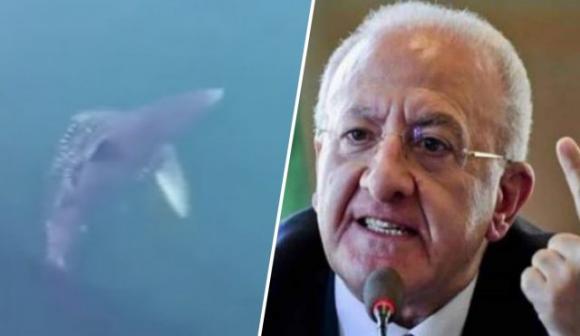 Squalo nel porto di Pozzuoli: “Ce l’ha messo De Luca per non farci andare a mare!”