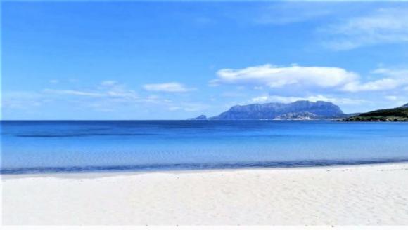 Coronavirus, per andare al mare nasconde la moglie nel bagagliaio
