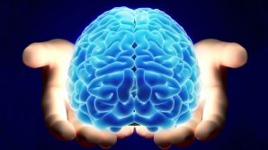 Surgical Theatre, il simulatore 3D per esplorare il cervello