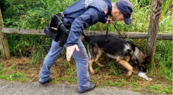 Bergamo: lascia le chiavi di casa all’imbianchino che ci va ad abitare con amici e pusher