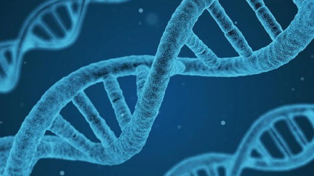 Il rischio metastasi è noto sin dalla nascita perché scritto nel dna