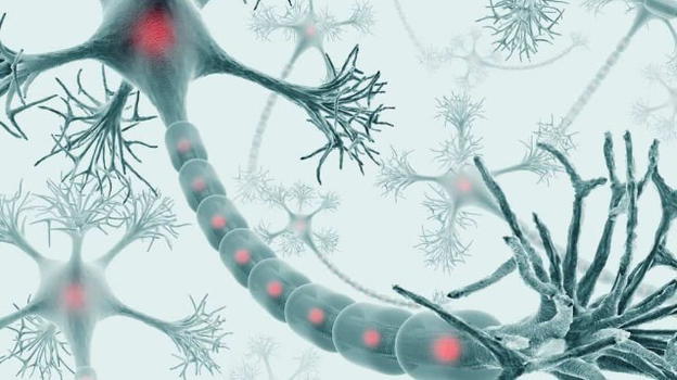 I segnali della malattia di Huntington sono presenti ben 24 anni prima dei sintomi clinici