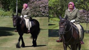 Regno Unito, la regina Elisabetta torna a cavalcare
